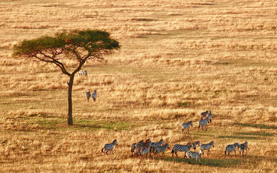 Jane Doe - Kenya